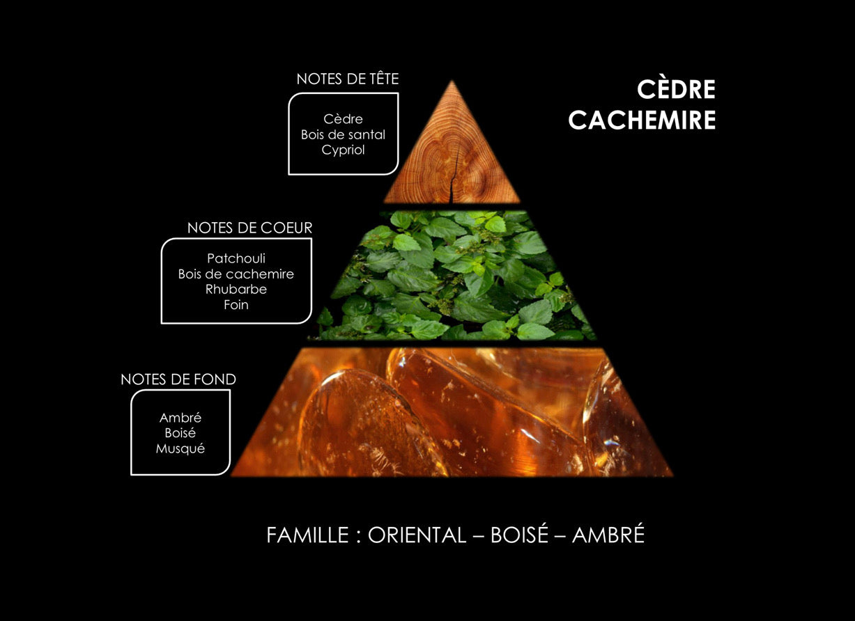 Diffuseur de Parfum d’ambiance "Cèdre Cachemire"