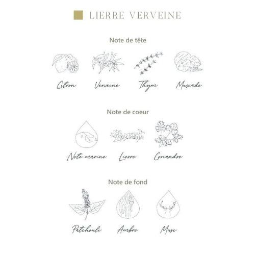 Diffuseur d'ambiance "Lierre Verveine"