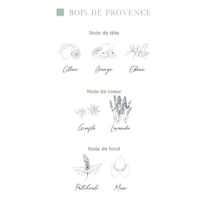 Bougie "Bois de Provence"