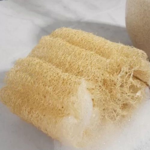 Éponge 100% végétale "Loofah"