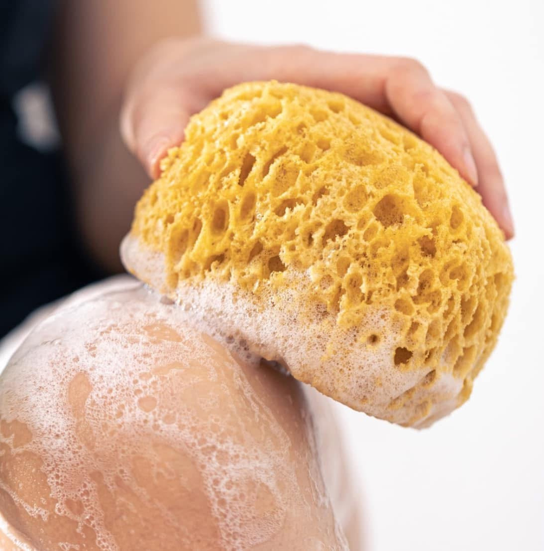 Éponge naturelle Méditerranée