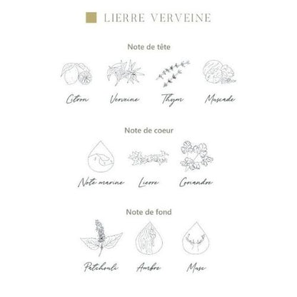 Diffuseur voiture "Lierre Verveine"